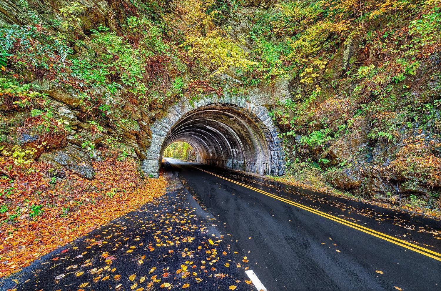 Time To Cuddle, Wifi, Near Pigeon Forge, 1089 Free Tickets Each Paid Day, Dollywood And More Exteriér fotografie