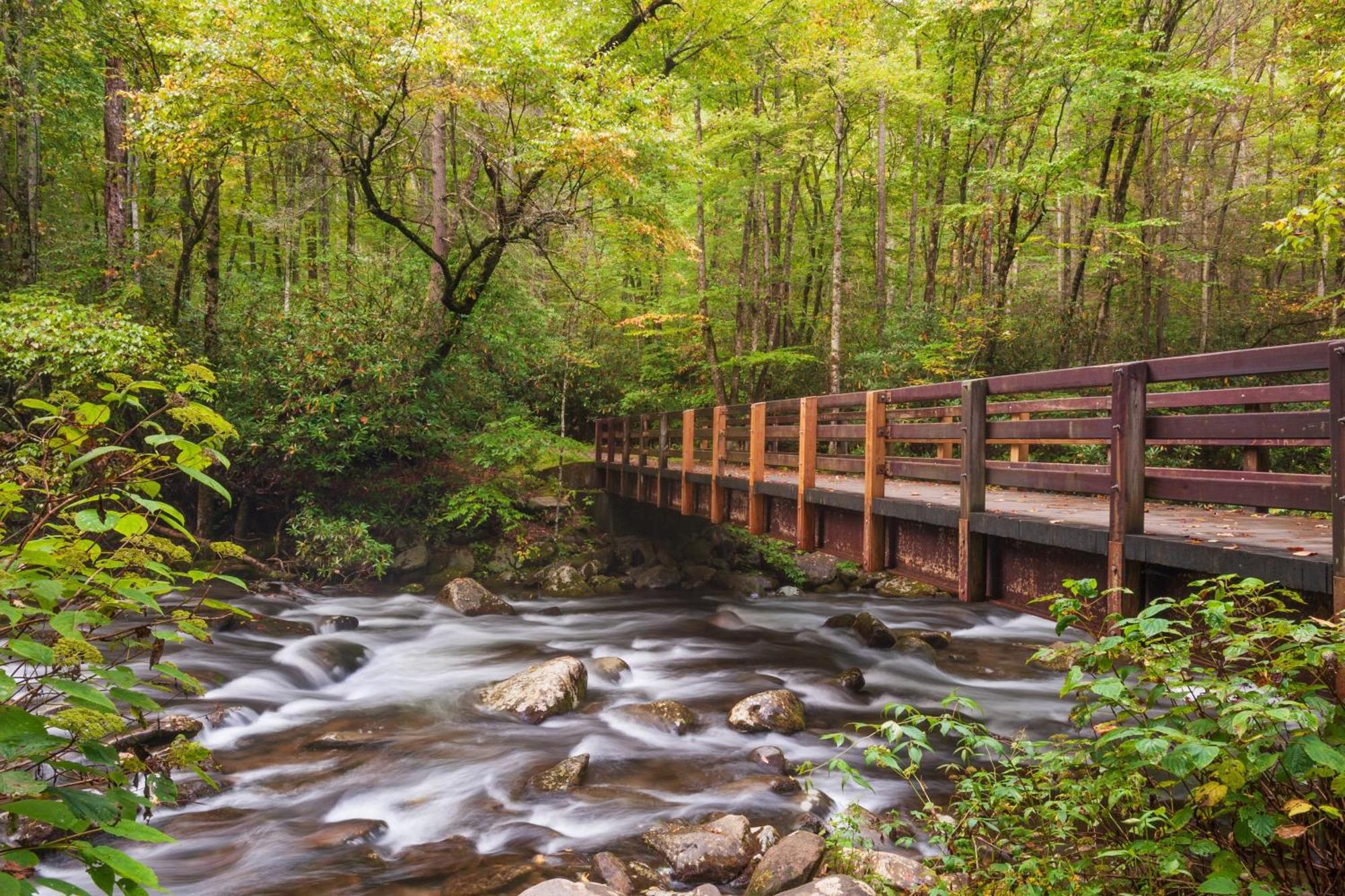 Time To Cuddle, Wifi, Near Pigeon Forge, 1089 Free Tickets Each Paid Day, Dollywood And More Exteriér fotografie